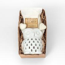 Load image into Gallery viewer, Wax Melt Set